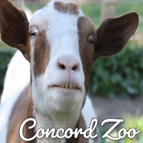 Concord Zoo