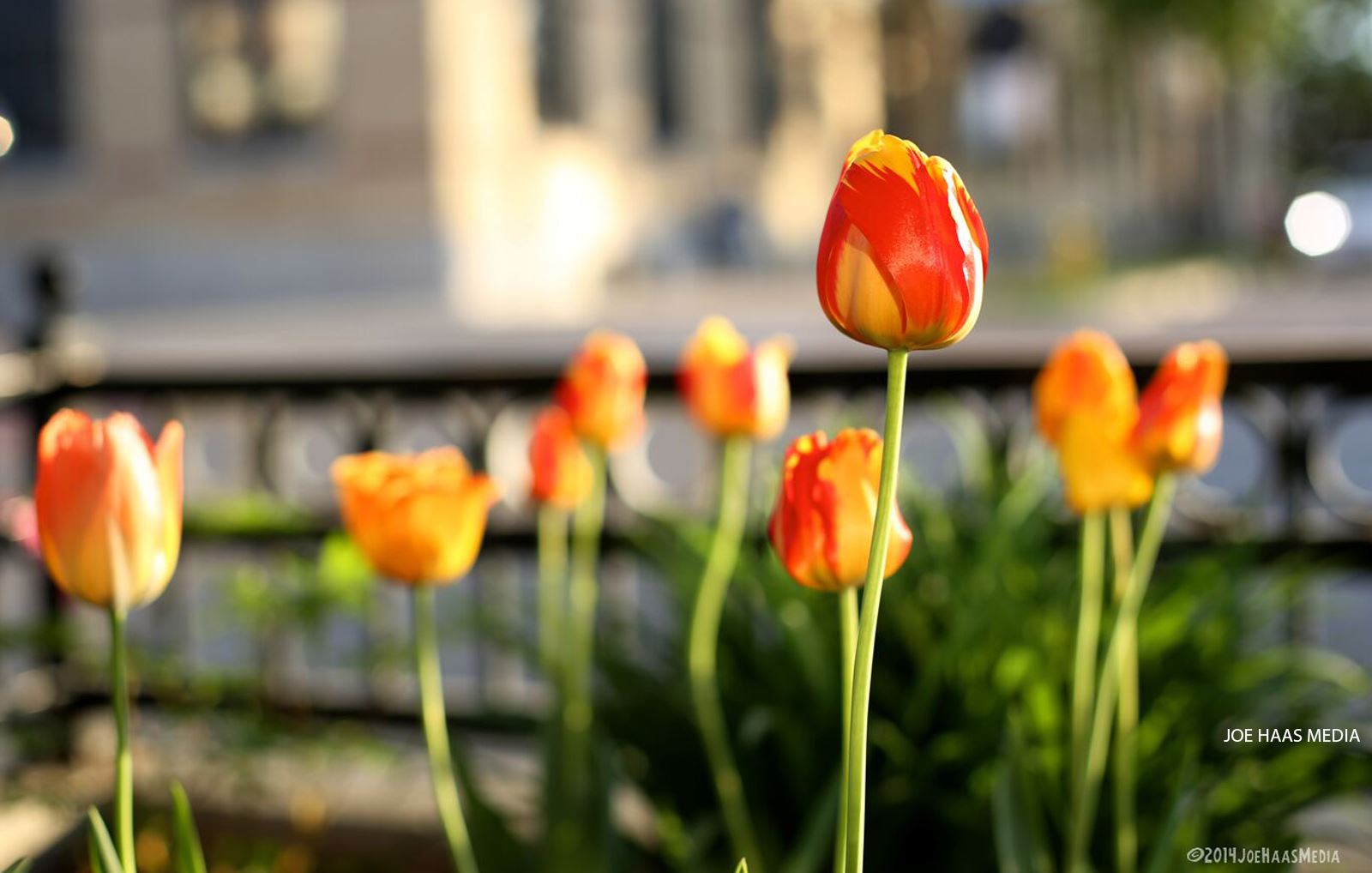 Spring in Oconomowoc