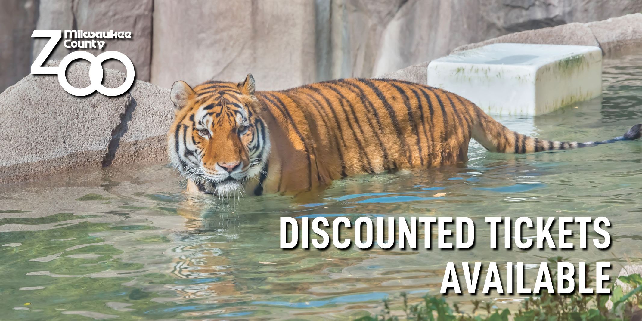 Discount park tickets