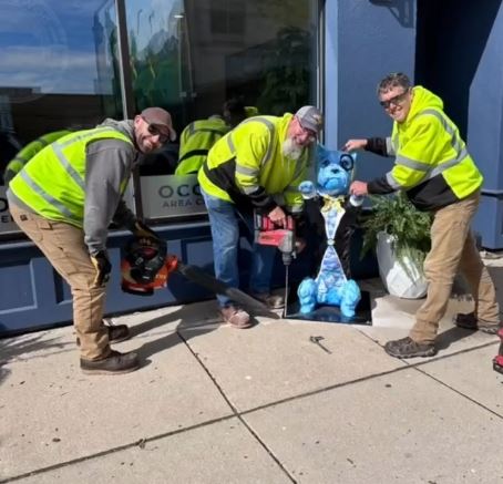 Chamber Toto install